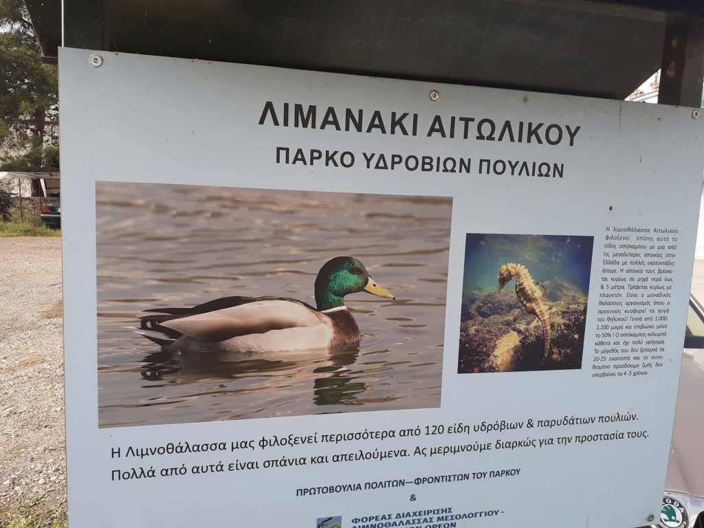 Λιμανάκι Αιτωλικού. Αρχείο ΕΦΑΑΙΤ.