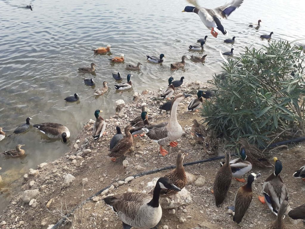 Λιμανάκι Αιτωλικού. Αρχείο ΕΦΑΑΙΤ.