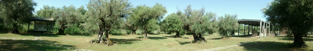 Θέρμες Αγ. Θωμά. Αρχείο ΕΦΑΑΙΤ.