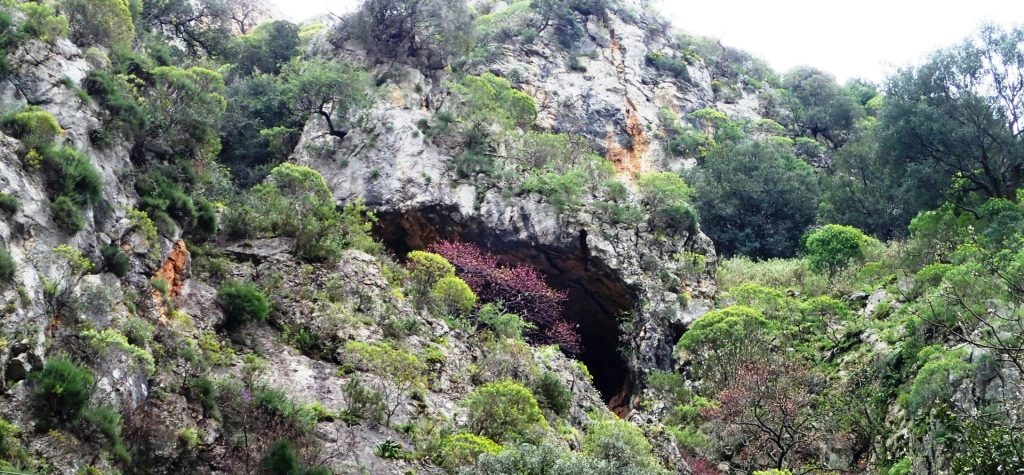 Βραχοσκεπή στην Κλεισούρα. Πηγή φωτο: Κ. Μπακολίτσας.