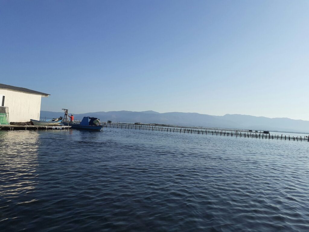 Ψάρεμα στα ιβάρια. Αρχείο ΕΦΑΑΙΤ.